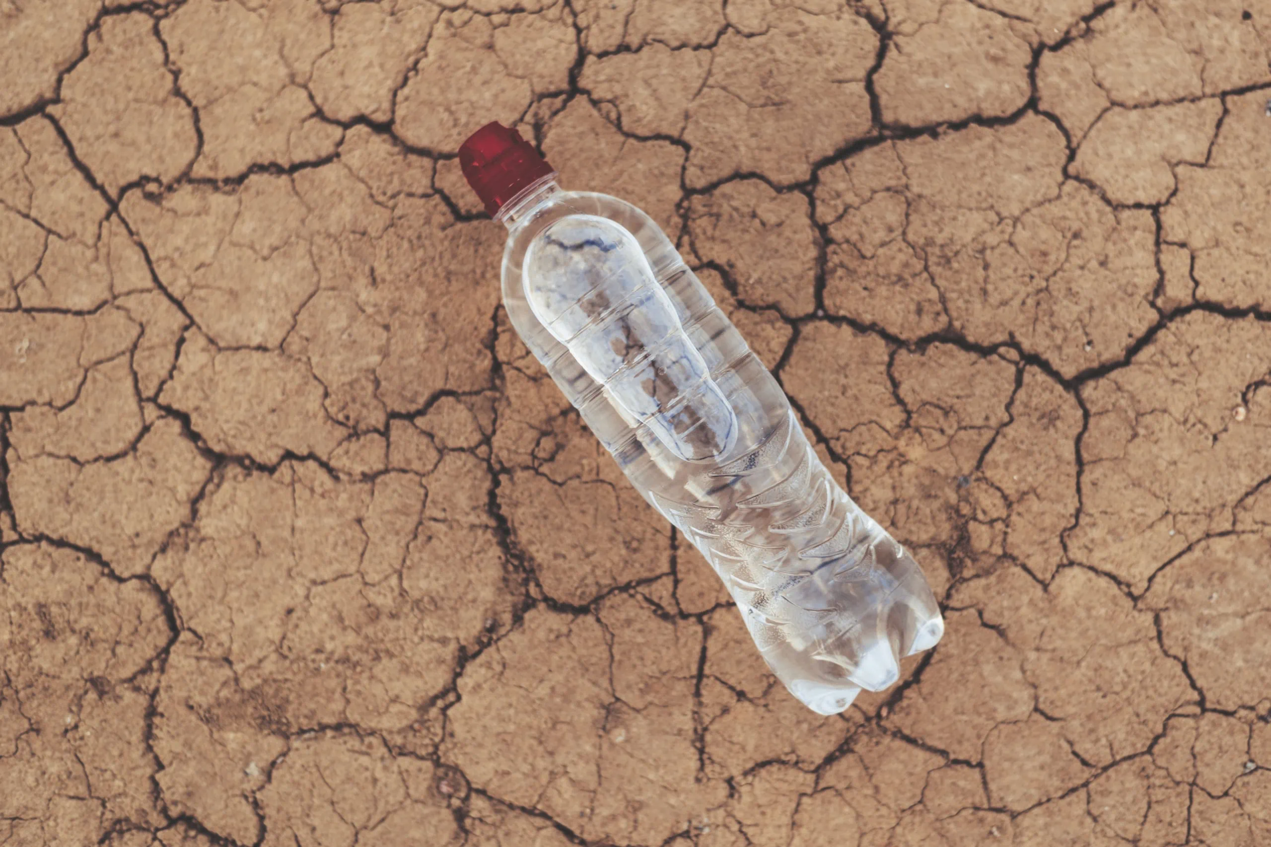 A,bottle,of,water,on,the,dried,ground.,the,concept