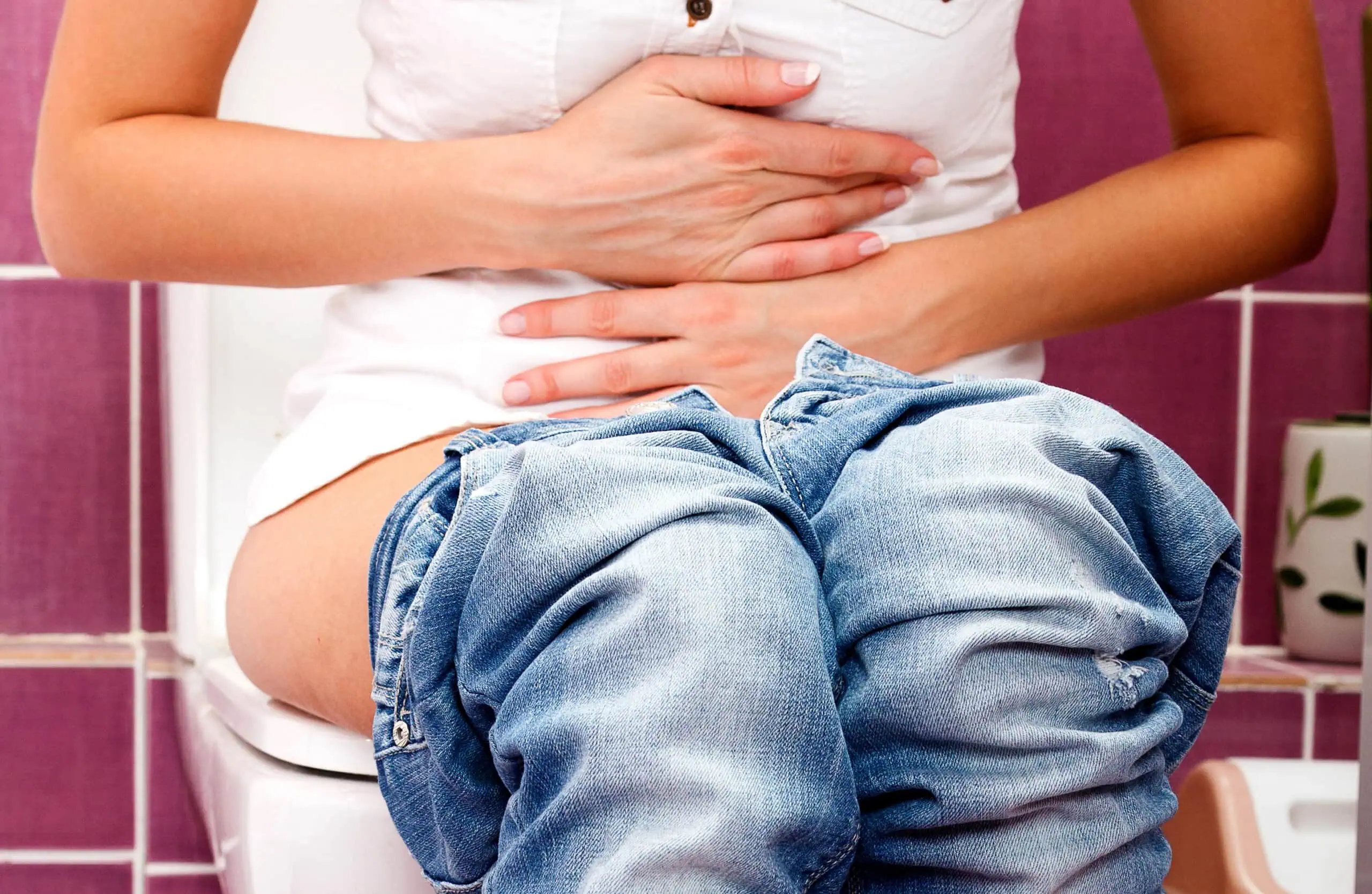 Shutterstock 513122938 B