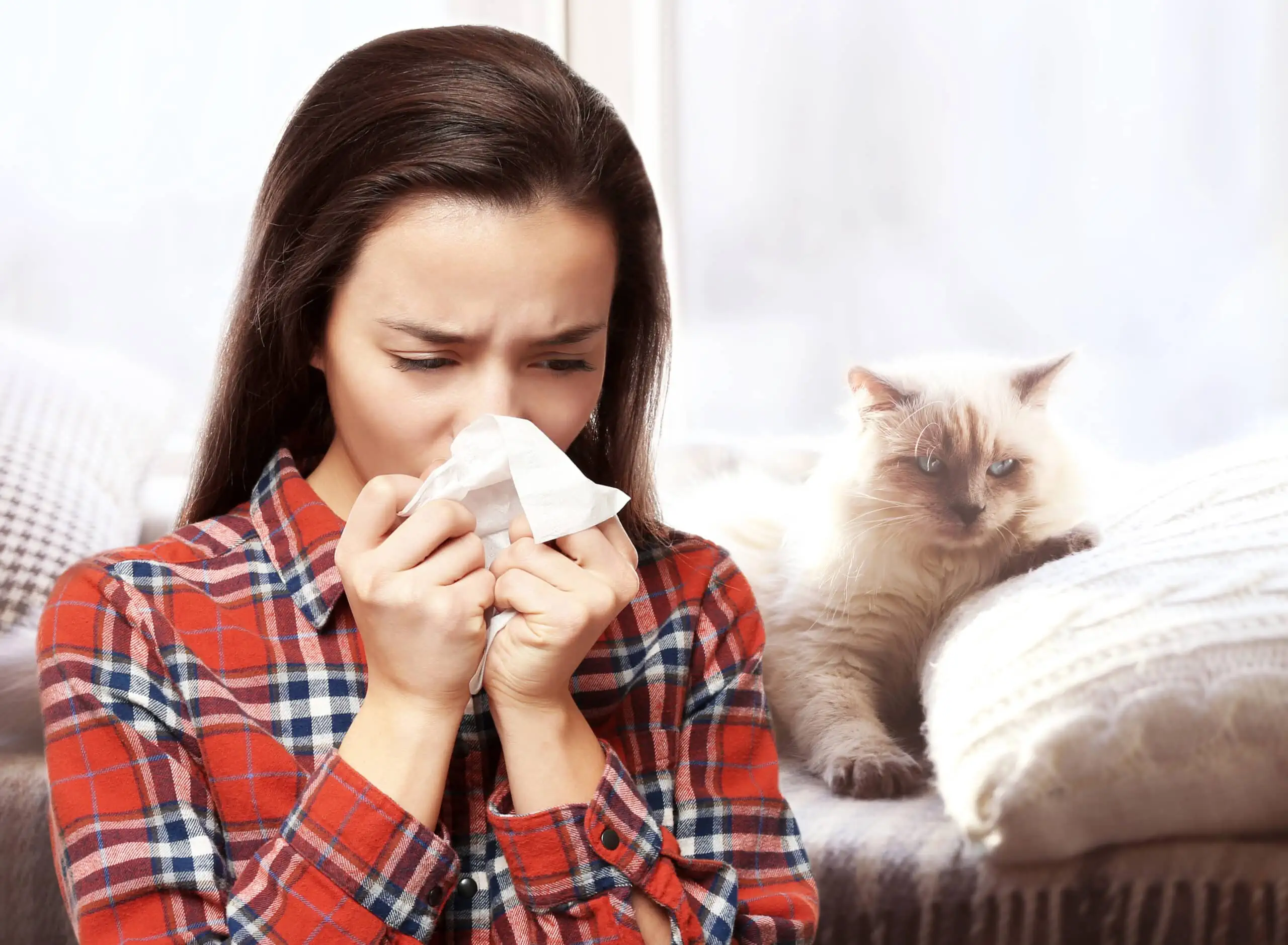 Young,woman,with,tissue,and,pet,on,background.,concept,of